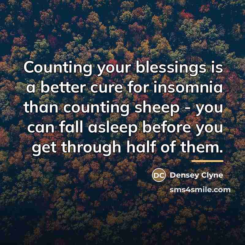 “Counting your blessings is a better cure for insomnia than…” quote by Densey Clyne