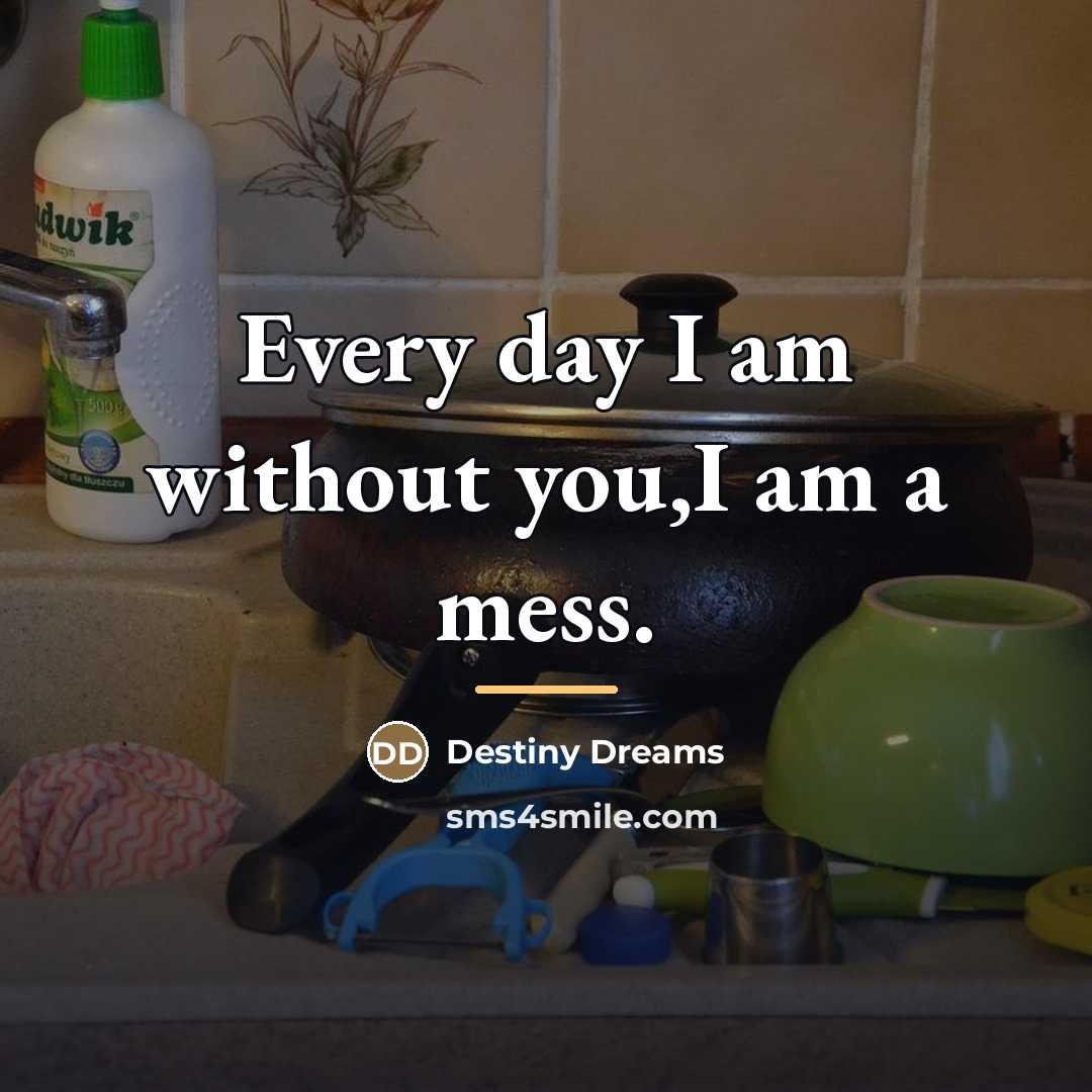 “Every day I am without you,I am a mess.…” quote by Destiny Dreams