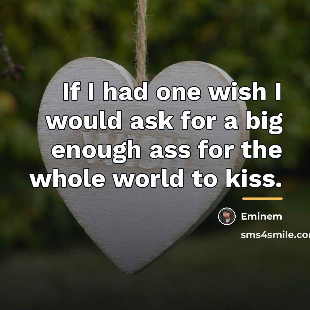 “If I had one wish I would ask for a…” quote by Eminem