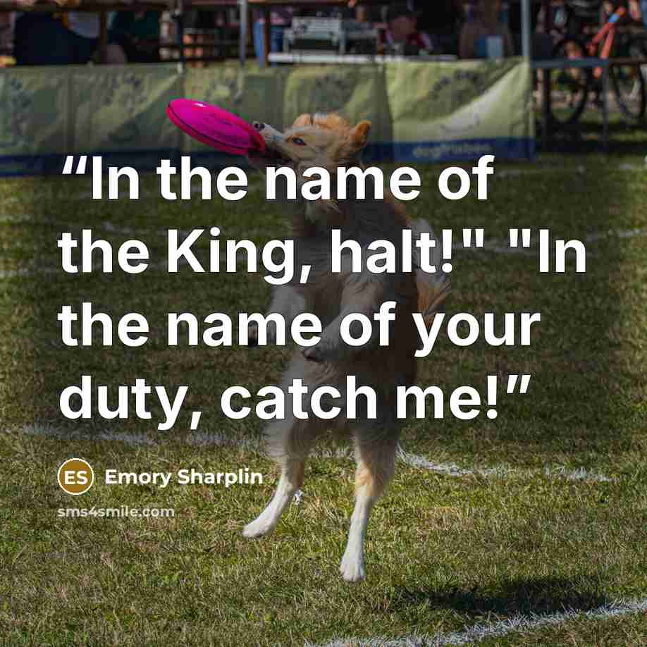“In the name of the King, halt!" "In the name of your duty, catch me!” quote by Emory Sharplin
