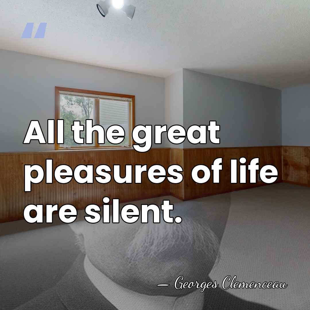 All the great pleasures of life are silent. - Georges Clemenceau