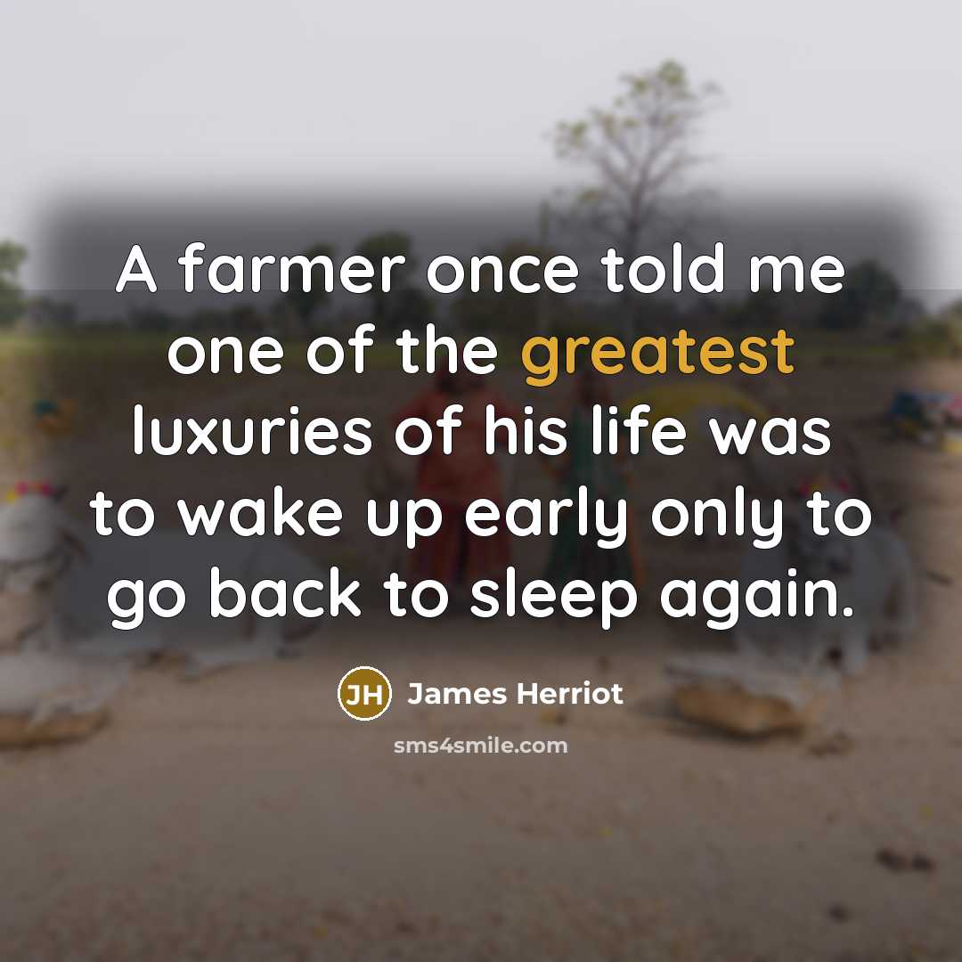 “A farmer once told me one of the greatest luxuries of his life was to wake up early only to go back to sleep again.” quote by James Herriot