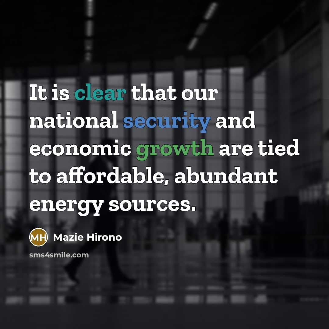 “It is clear that our national security and economic growth are tied to affordable, abundant energy sources.” quote by Mazie Hirono