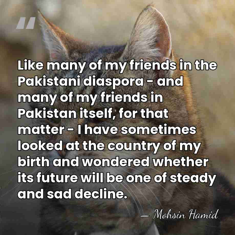 Like many of my friends in the Pakistani diaspora - and many&hellip; - Mohsin Hamid