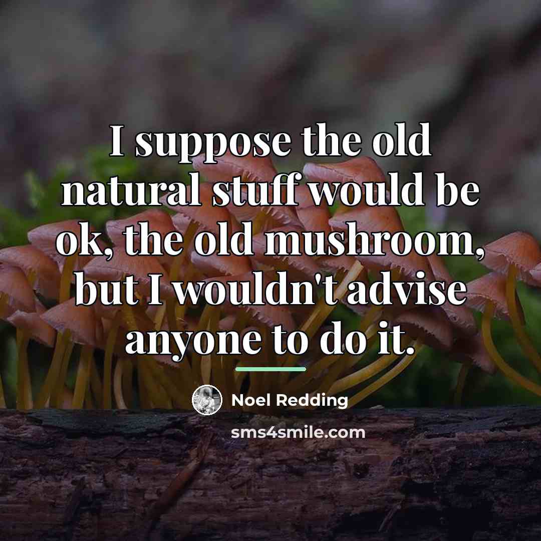“I suppose the old natural stuff would be ok, the…” quote by Noel Redding