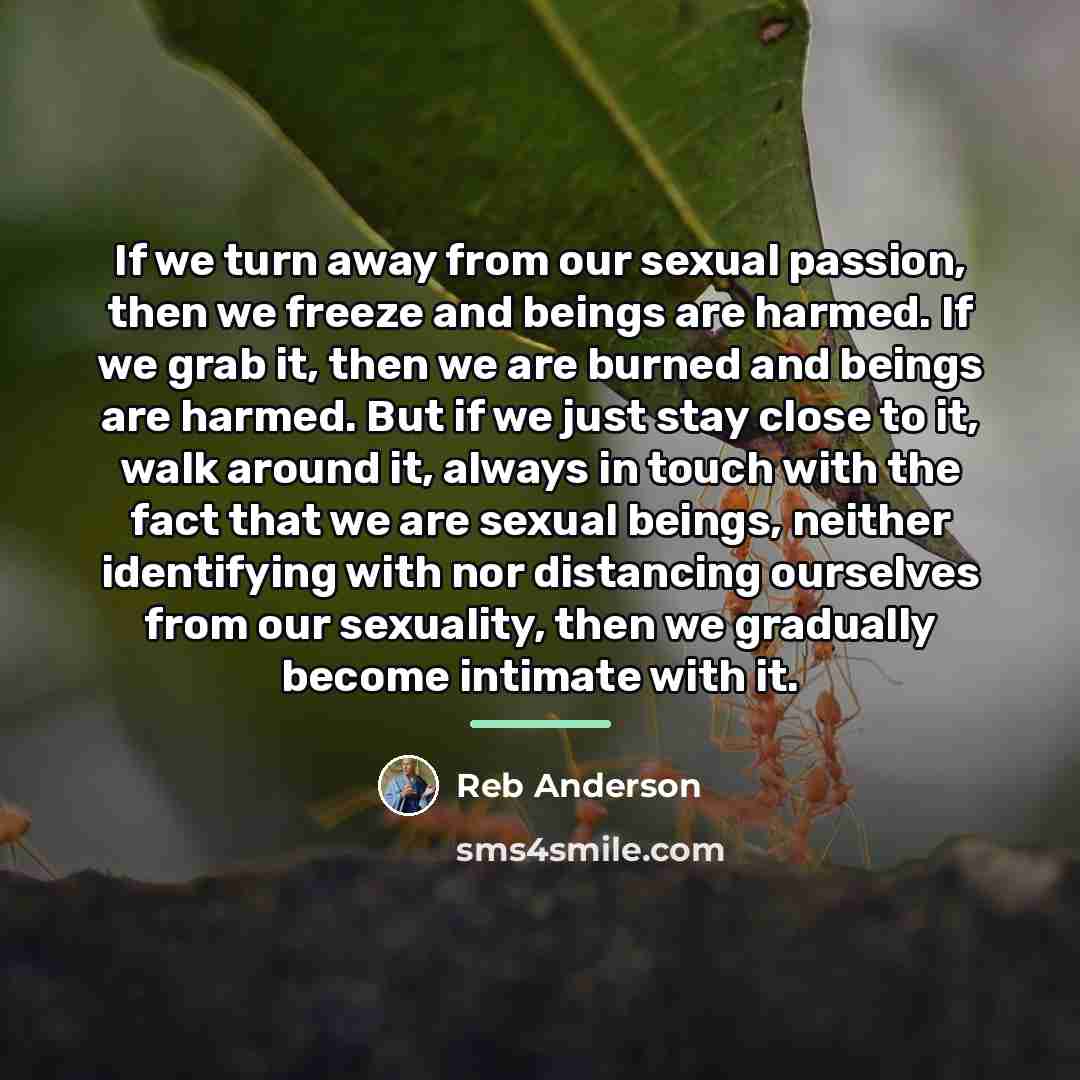 “If we turn away from our sexual passion, then we…” quote by Reb Anderson