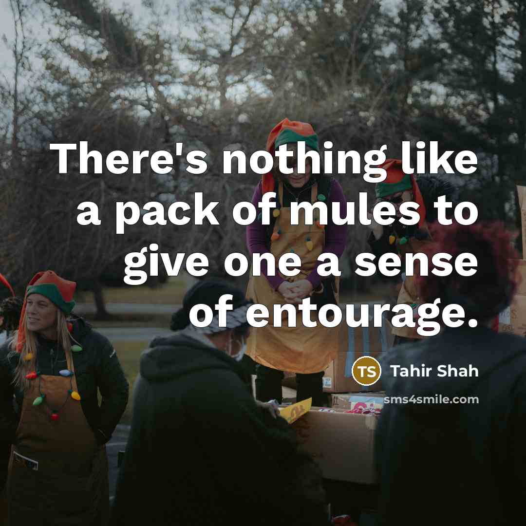 “There's nothing like a pack of mules to give one…” quote by Tahir Shah