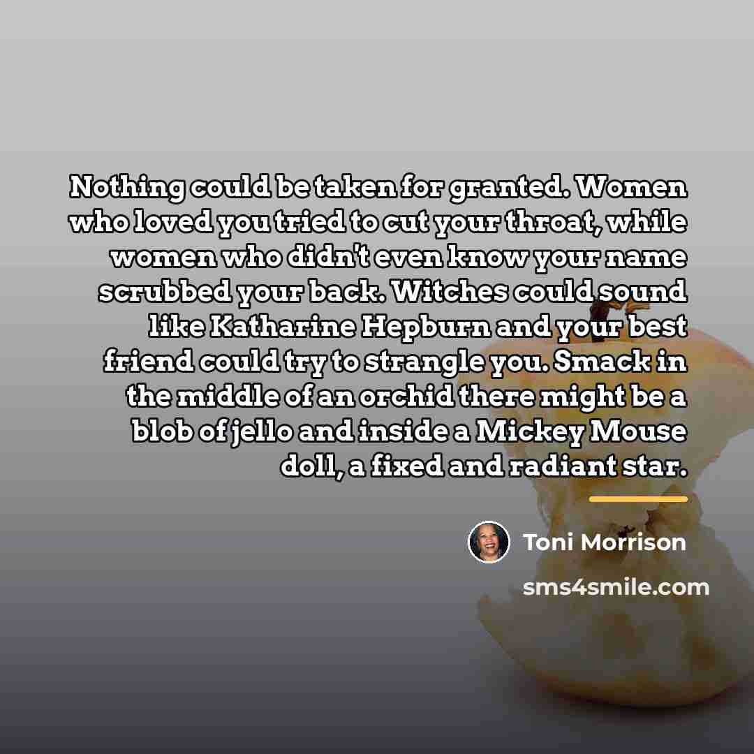 “Nothing could be taken for granted. Women who loved you…” quote by Toni Morrison
