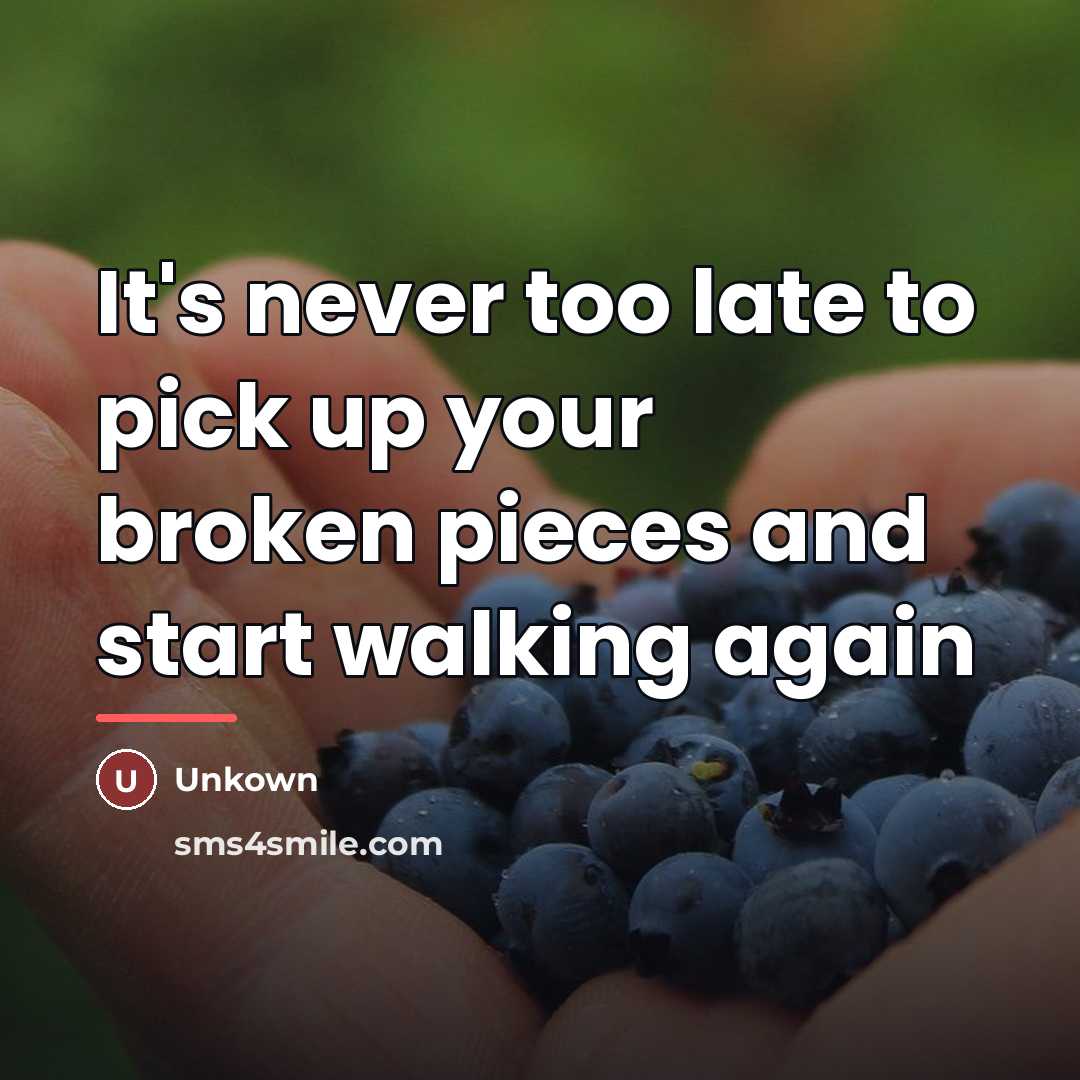 “It's never too late to pick up your broken pieces…” quote by Unkown