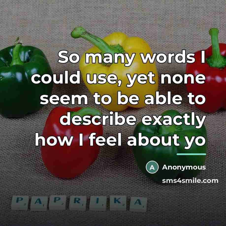 “So many words I could use, yet none seem to…” quote by Anonymous