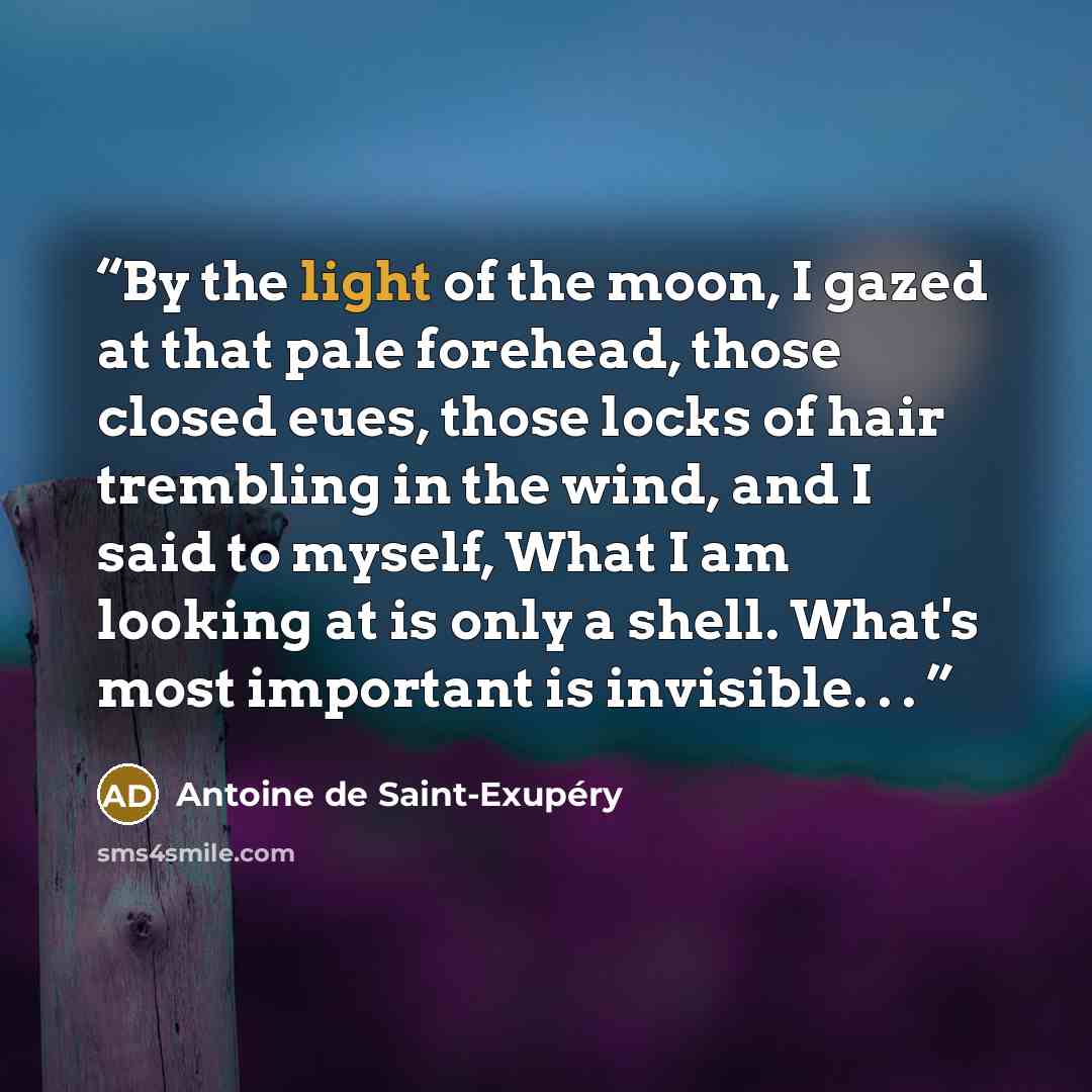“By the light of the moon, I gazed at that pale forehead, those closed eues, those locks of hair trembling in the wind, and I said to myself, What I am looking at is only a shell. What's most important is invisible. . .” quote by Antoine de Saint-Exupéry