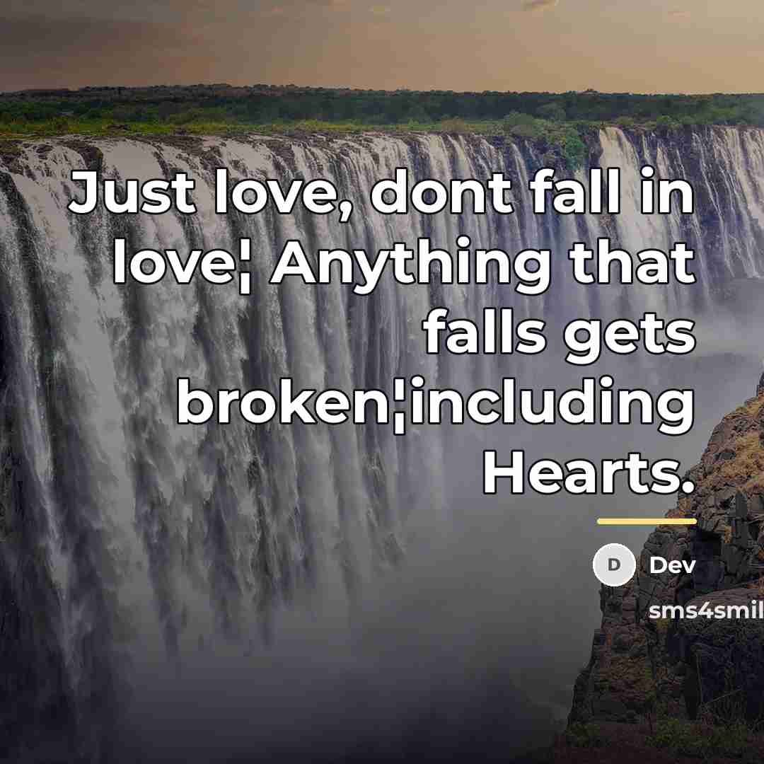“Just love, dont fall in love¦ Anything that falls gets…” quote by DEV