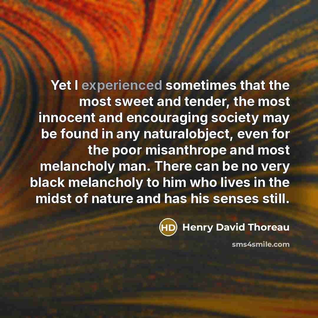 “Yet I experienced sometimes that the most sweet and tender,…” quote by Henry David Thoreau