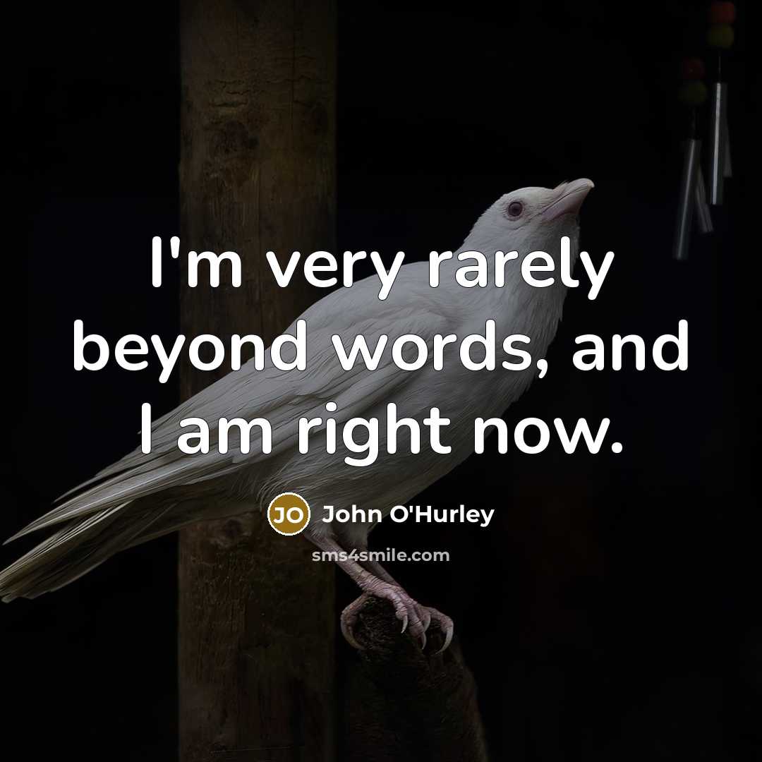 “I'm very rarely beyond words, and I am right now.…” quote by John O'Hurley