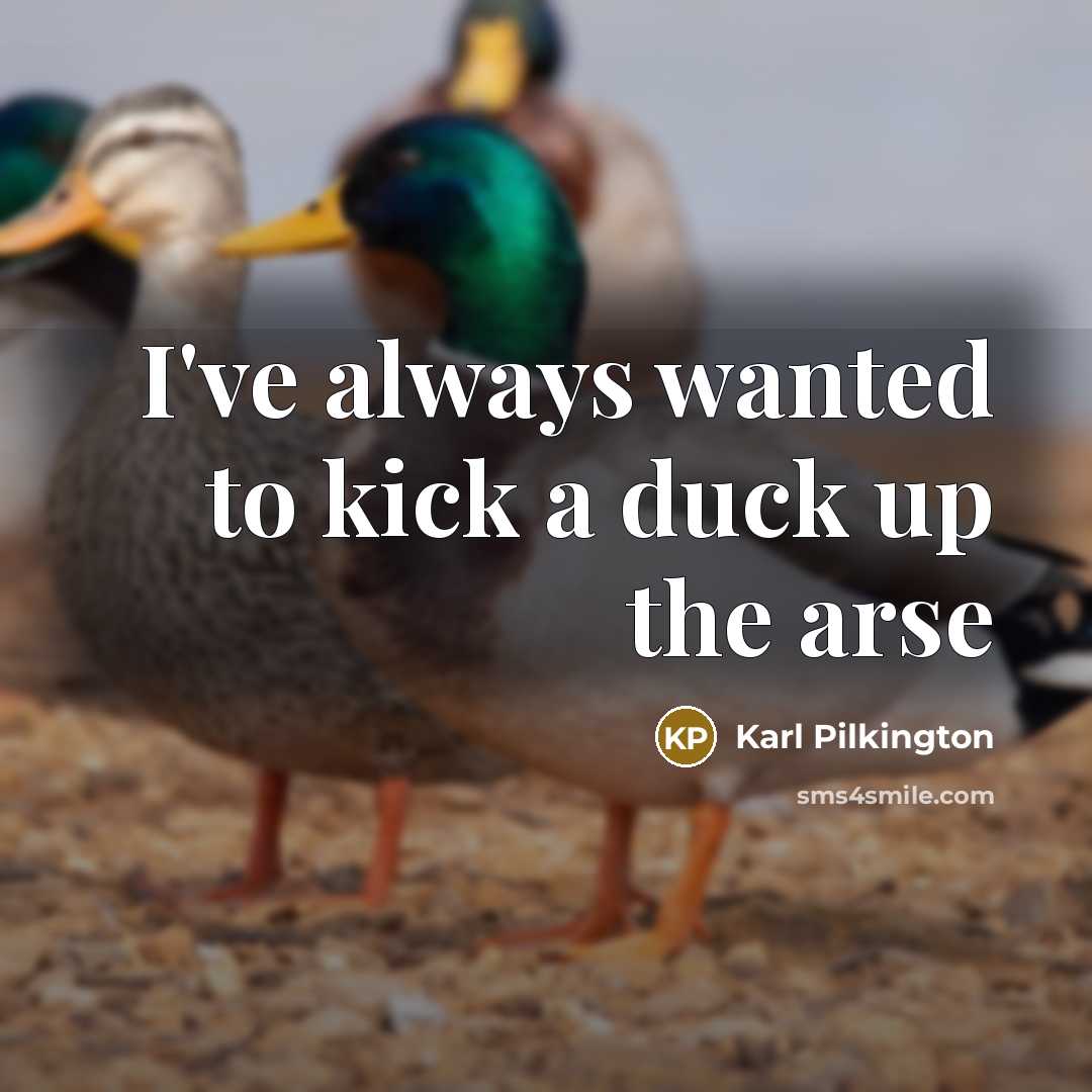“I've always wanted to kick a duck up the arse…” quote by Karl Pilkington