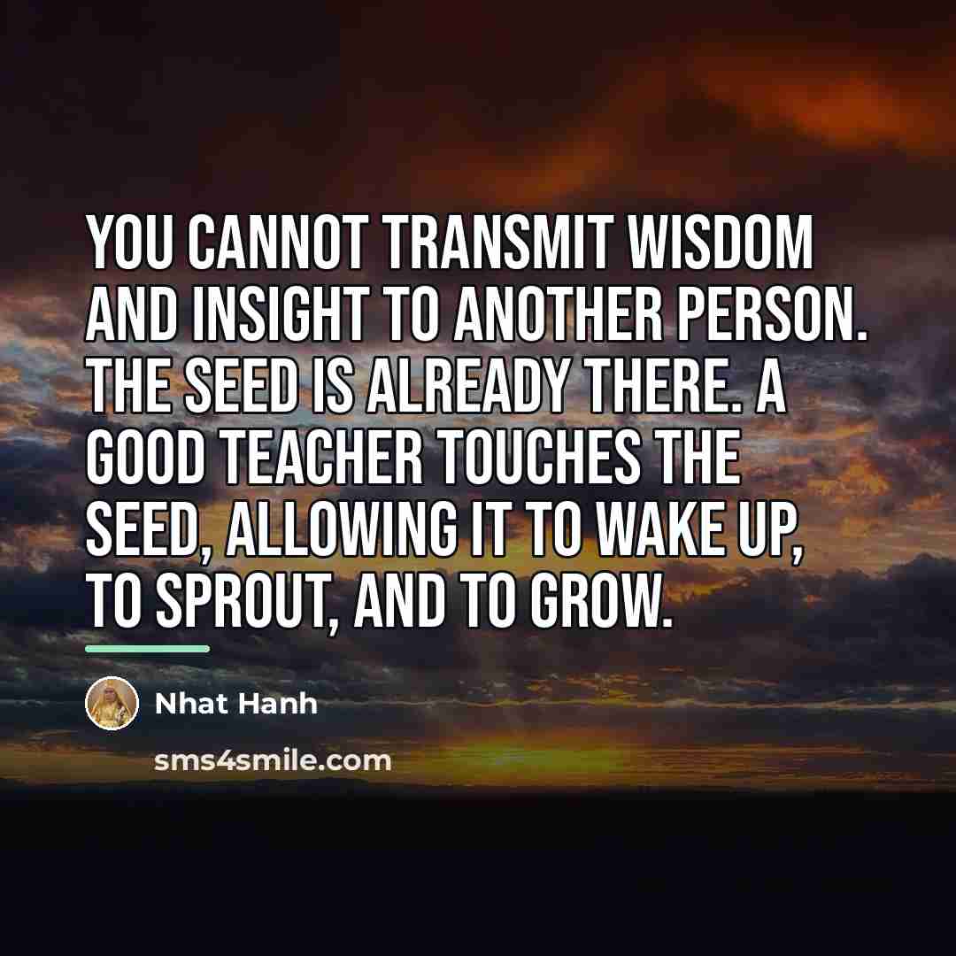 “You cannot transmit wisdom and insight to another person. The…” quote by Nhat Hanh