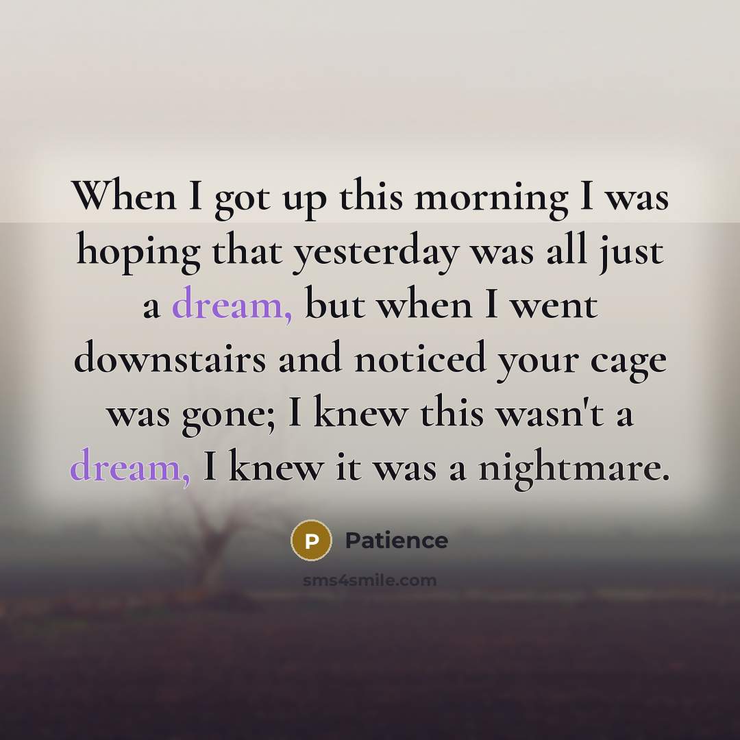 “When I got up this morning I was hoping that…” quote by Patience