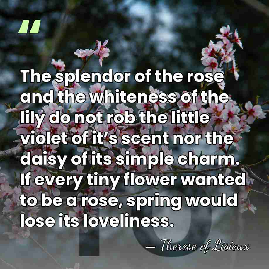 The splendor of the rose and the whiteness of the lily do&hellip; - Therese of Lisieux