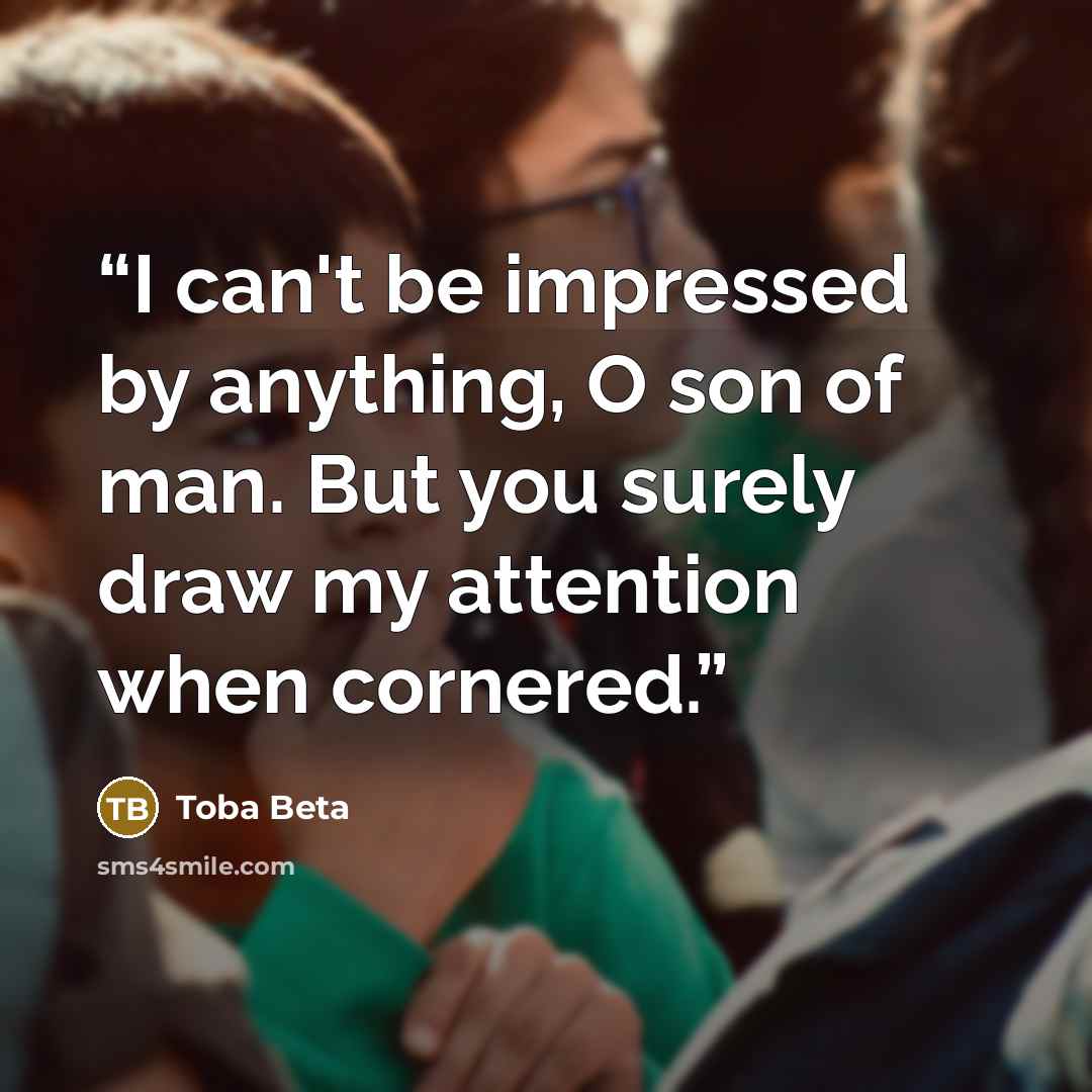 “I can't be impressed by anything, O son of man. But you surely draw my attention when cornered.” quote by Toba Beta