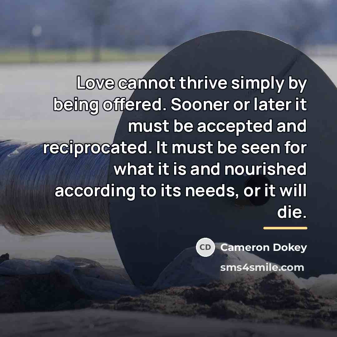 “Love cannot thrive simply by being offered. Sooner or later…” quote by Cameron Dokey