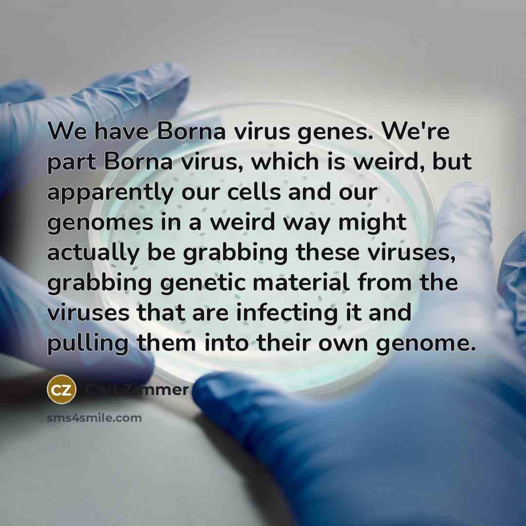 “We have Borna virus genes. We're part Borna virus, which…” quote by Carl Zimmer