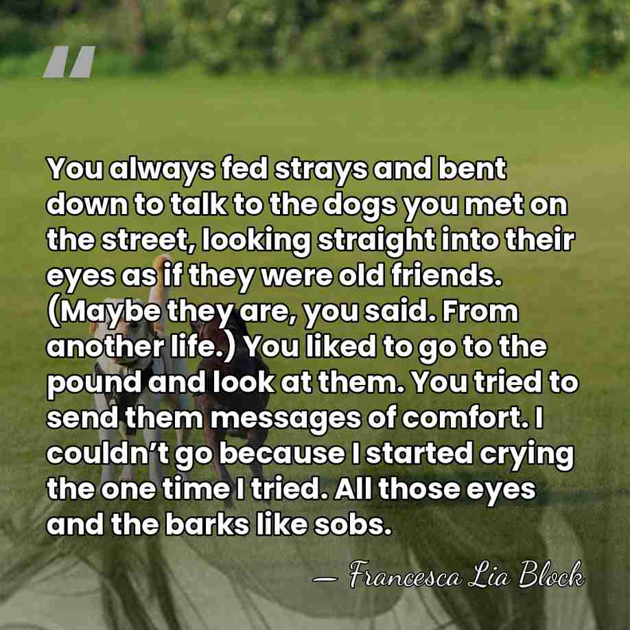 You always fed strays and bent down to talk to the dogs&hellip; - Francesca Lia Block