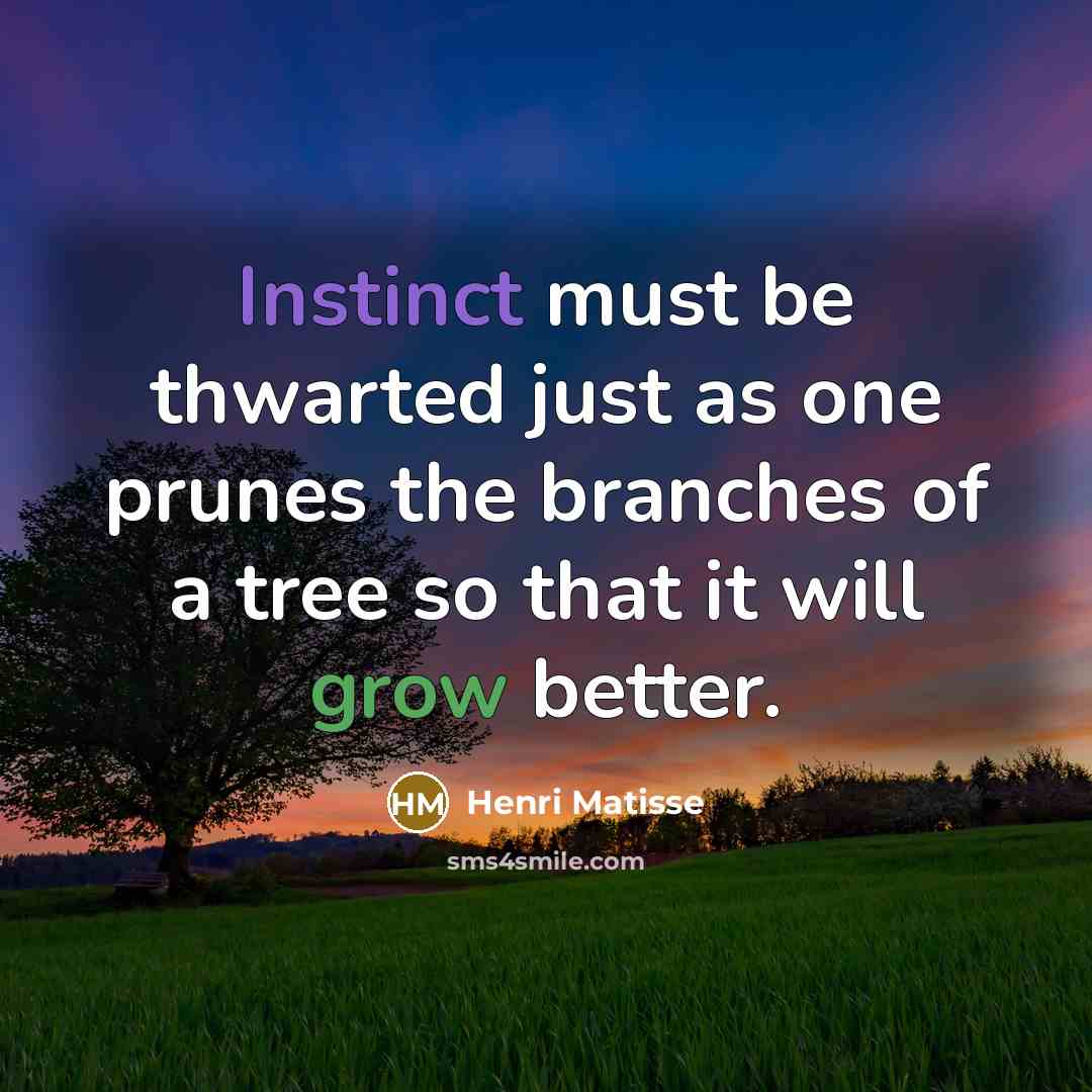 “Instinct must be thwarted just as one prunes the branches…” quote by Henri Matisse