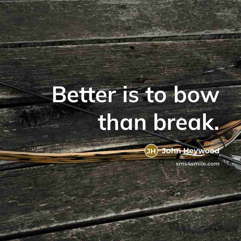 “Better is to bow than break.…” quote by John Heywood