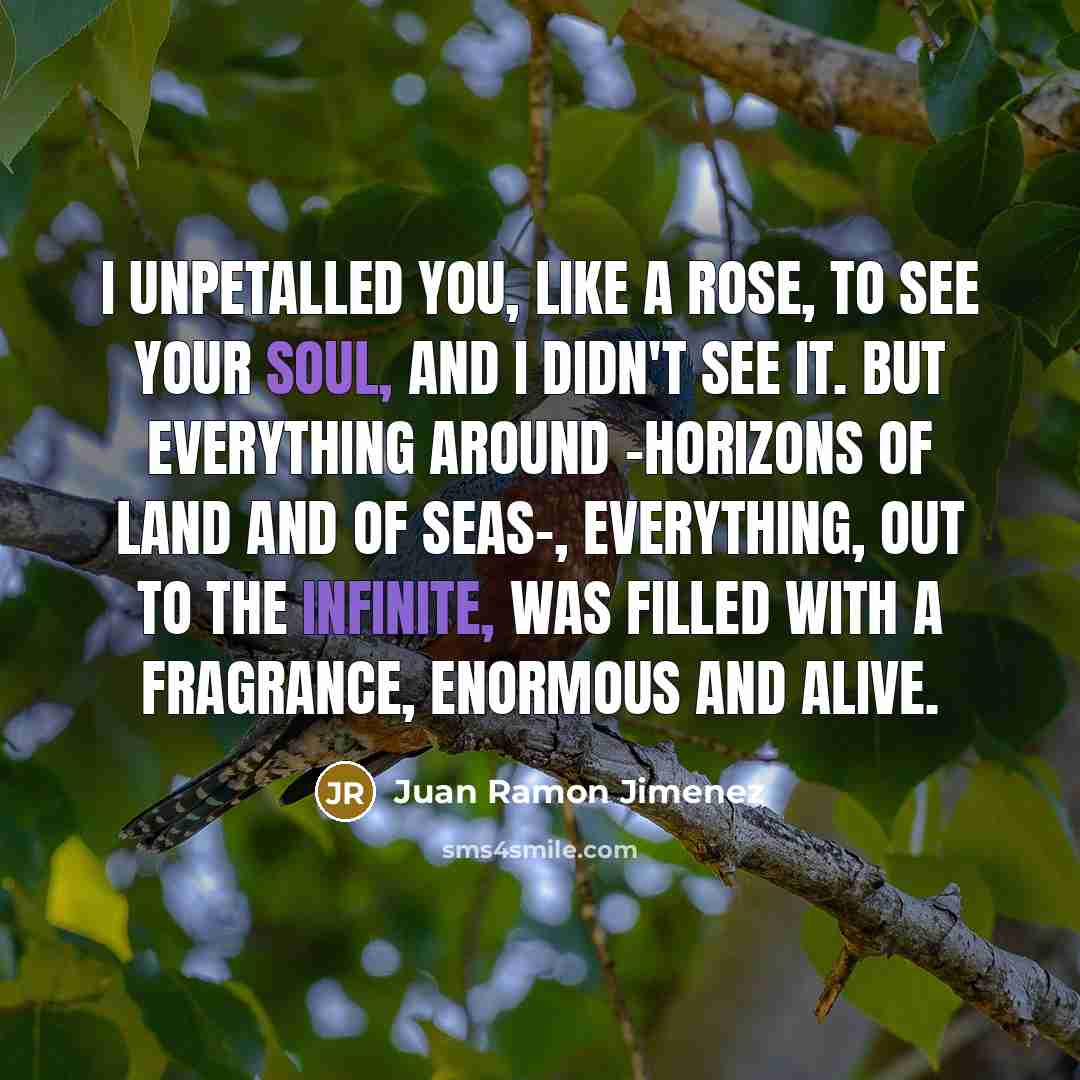 “I unpetalled you, like a rose, to see your soul,…” quote by Juan Ramon Jimenez