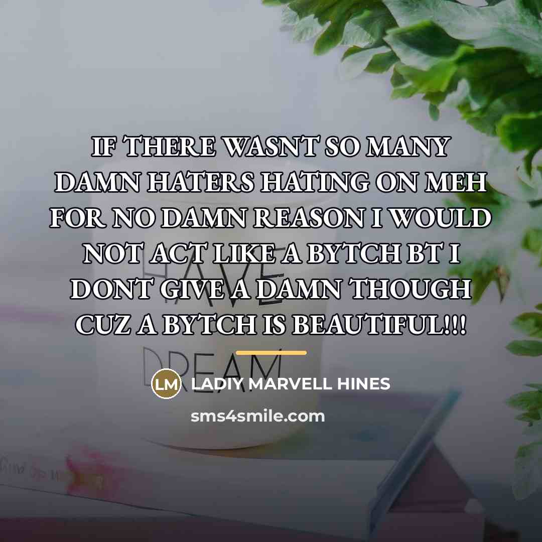 “IF THERE WASNT SO MANY DAMN HATERS HATING ON MEH…” quote by Ladiy Marvell Hines