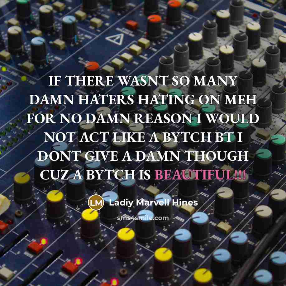 “IF THERE WASNT SO MANY DAMN HATERS HATING ON MEH FOR NO DAMN REASON I WOULD NOT ACT LIKE A BYTCH BT I DONT GIVE A DAMN THOUGH CUZ A BYTCH IS BEAUTIFUL!!!” quote by Ladiy Marvell Hines