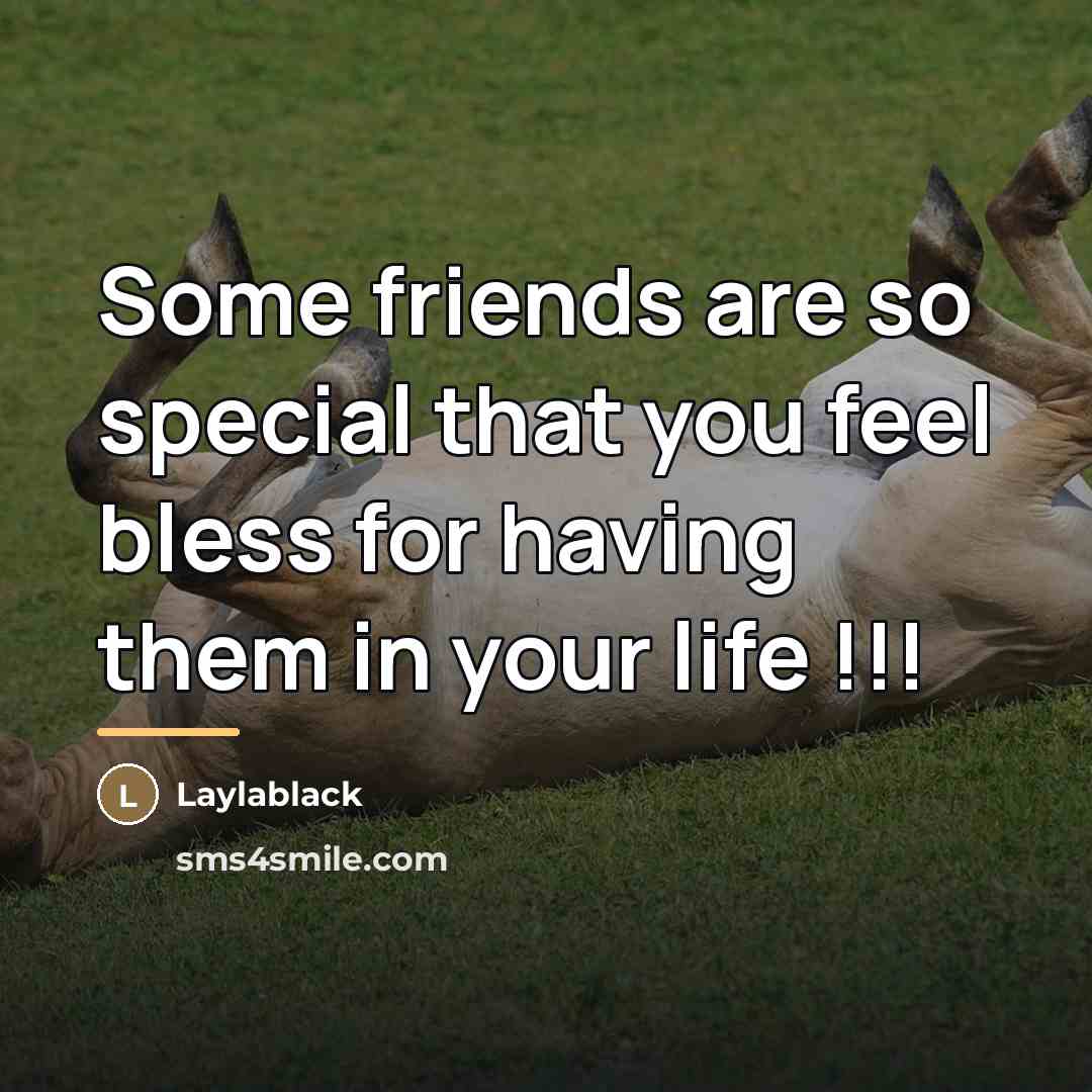 “Some friends are so special that you feel bless for…” quote by Laylablack