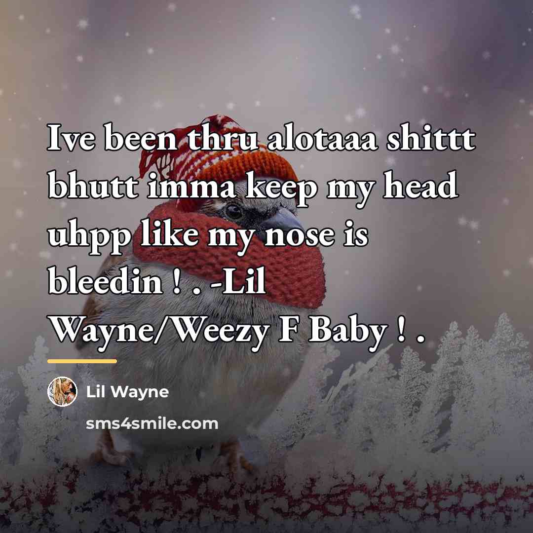“Ive been thru alotaaa shittt bhutt imma keep my head…” quote by Lil Wayne