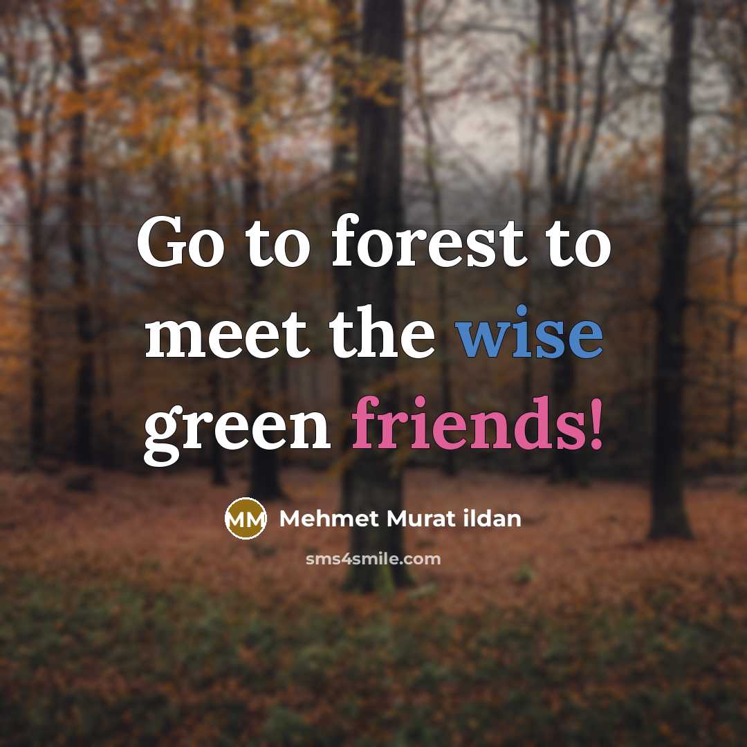 “Go to forest to meet the wise green friends!…” quote by Mehmet Murat Ildan