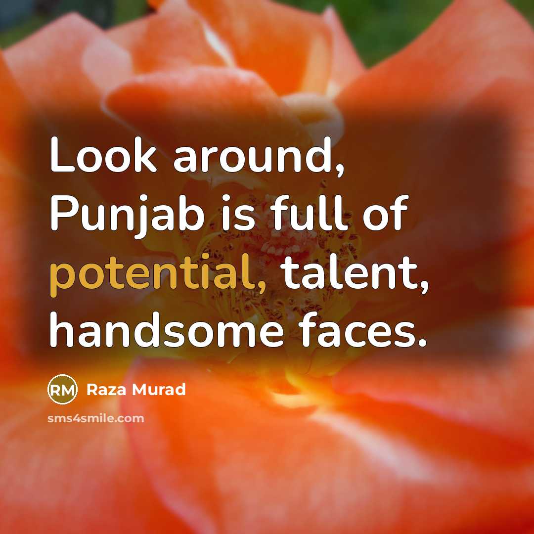 “Look around, Punjab is full of potential, talent, handsome faces.…” quote by Raza Murad