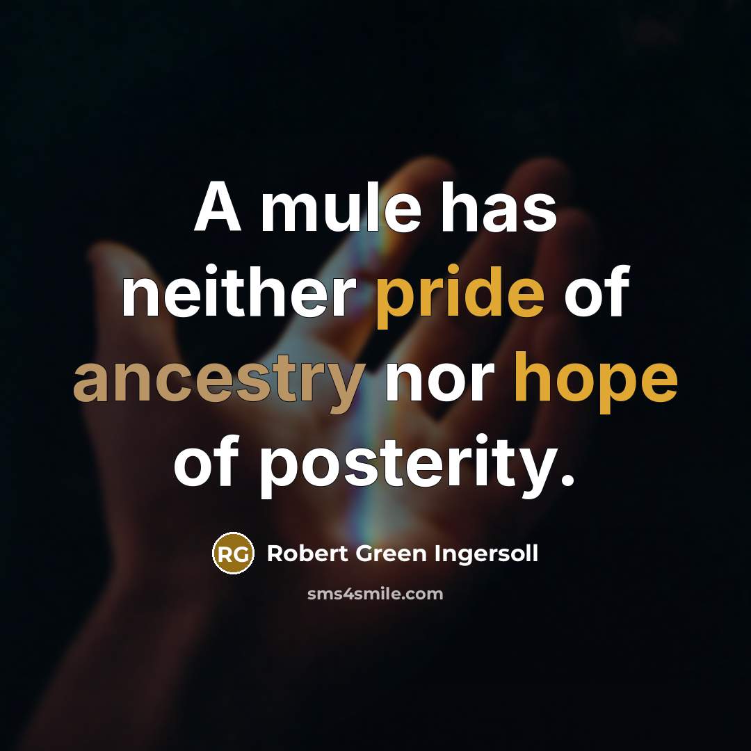 “A mule has neither pride of ancestry nor hope of…” quote by Robert Green Ingersoll