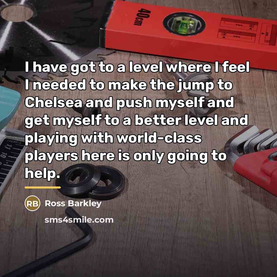 “I have got to a level where I feel I…” quote by Ross Barkley