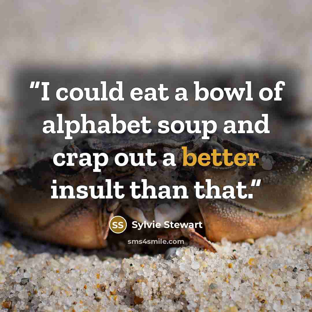 “I could eat a bowl of alphabet soup and crap out a better insult than that.” quote by Sylvie Stewart