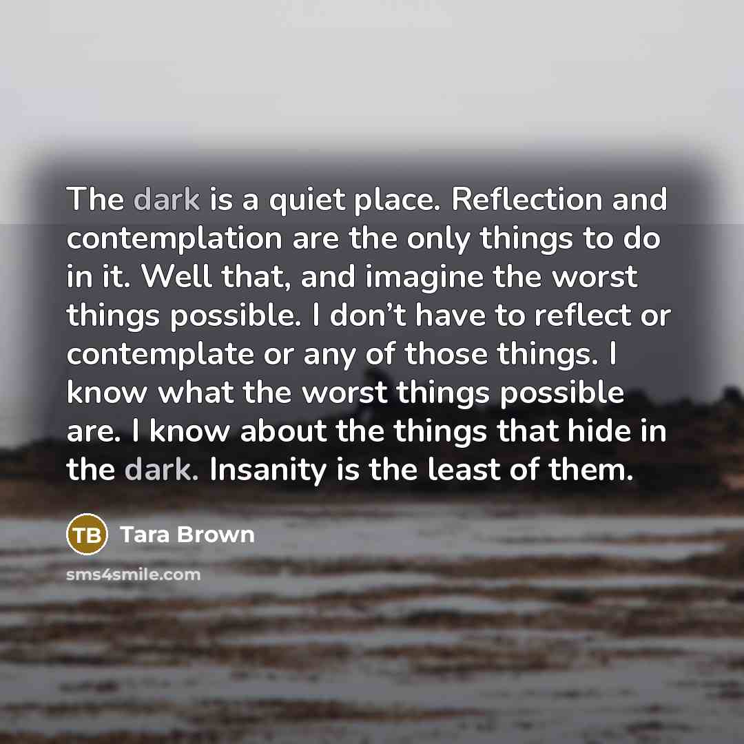 “The dark is a quiet place. Reflection and contemplation are…” quote by Tara Brown