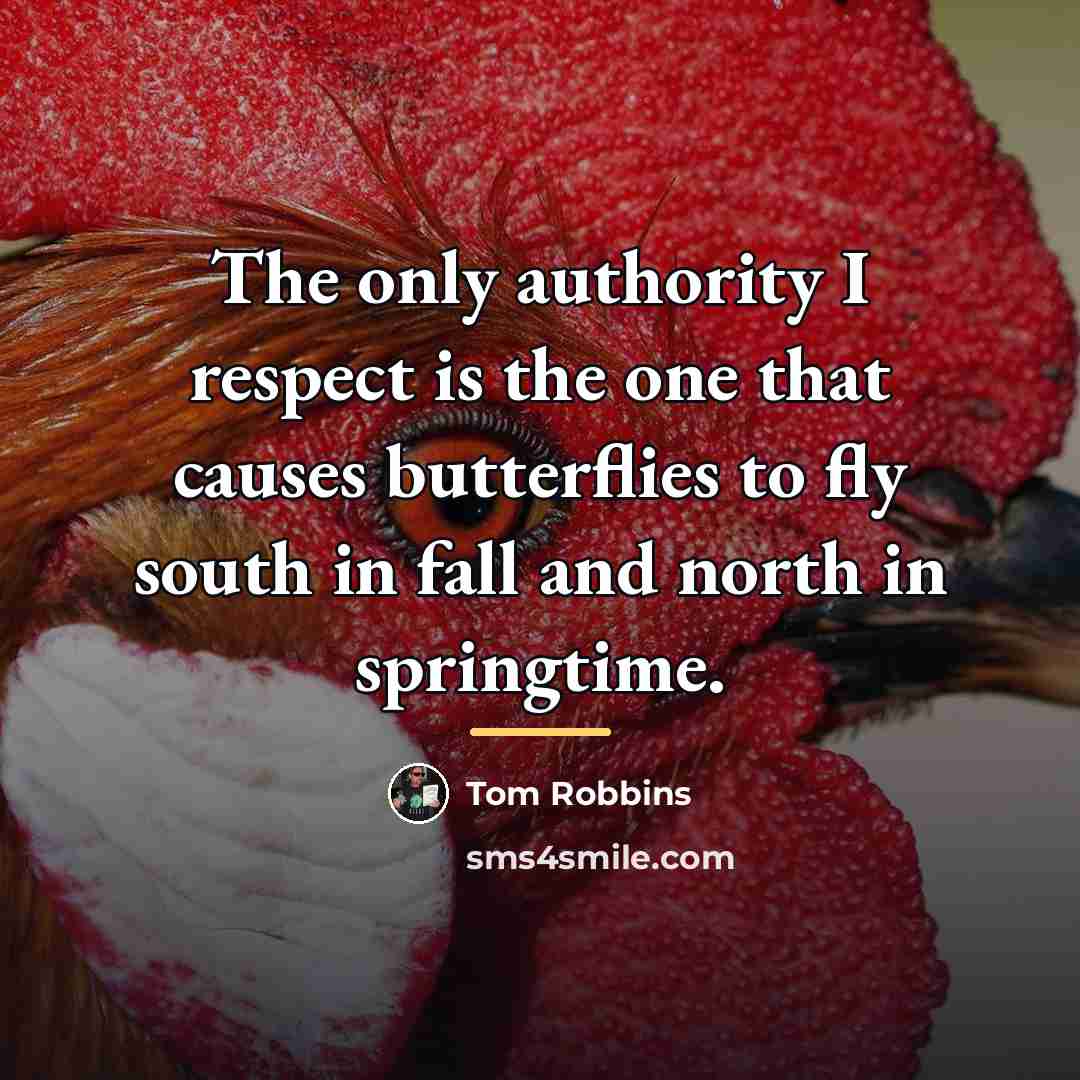 “The only authority I respect is the one that causes…” quote by Tom Robbins