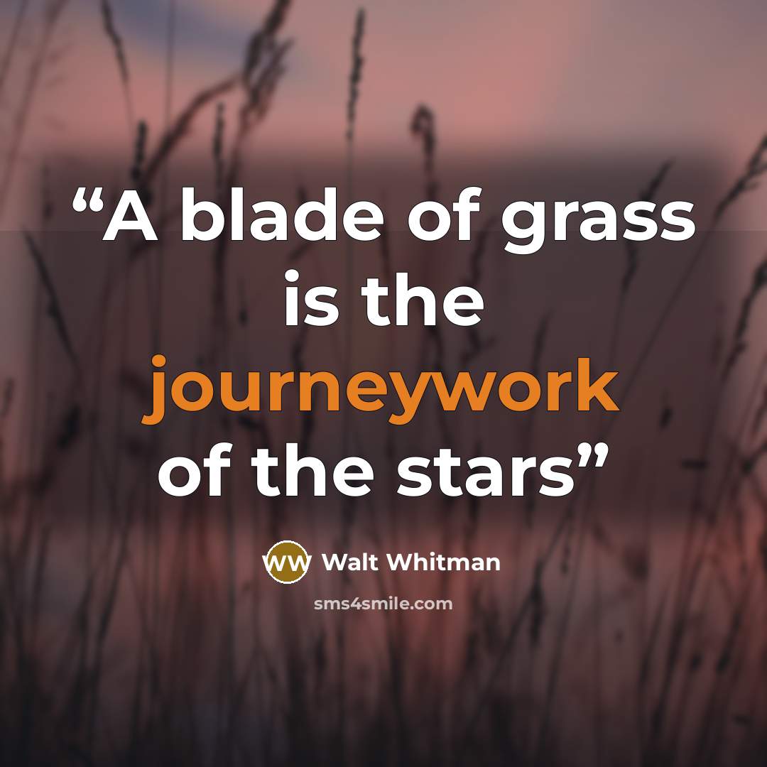 “A blade of grass is the journeywork of the stars” quote by Walt Whitman
