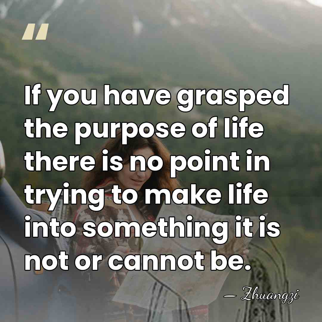 If you have grasped the purpose of life there is no point&hellip; - Zhuangzi