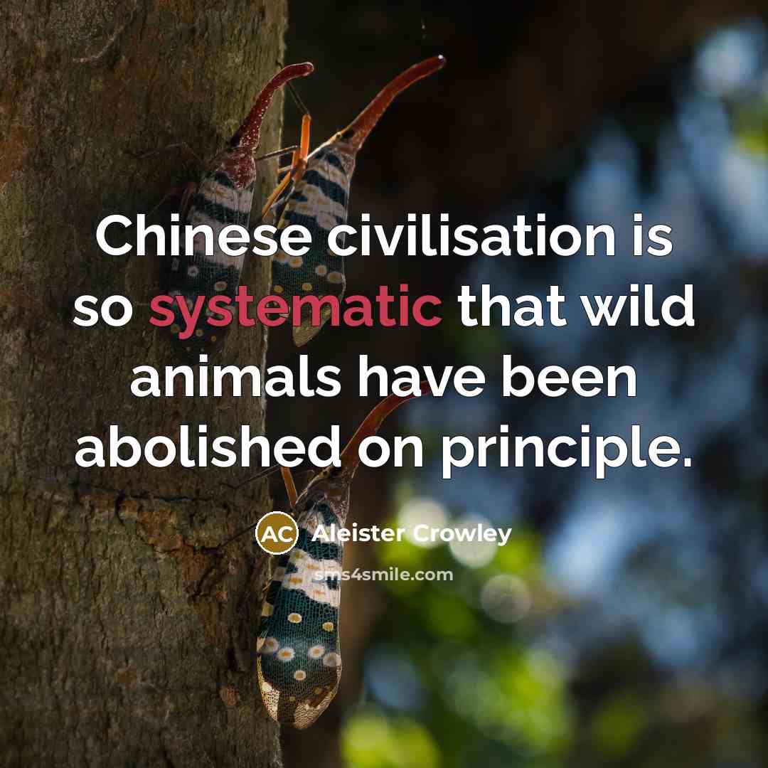 “Chinese civilisation is so systematic that wild animals have been…” quote by Aleister Crowley