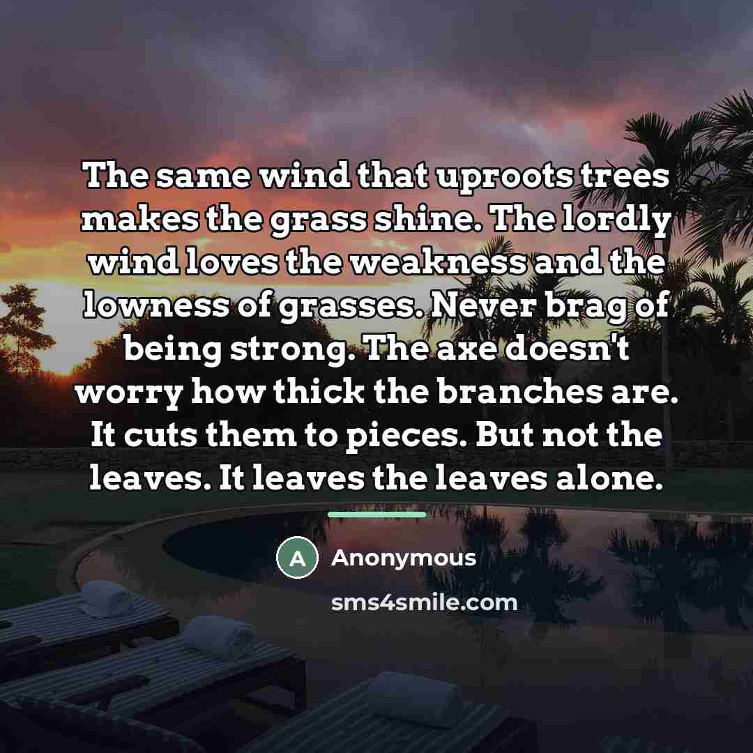 “The same wind that uproots trees makes the grass shine.…” quote by Anonymous