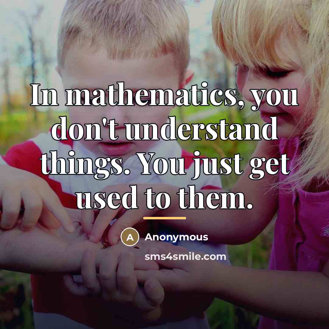 “In mathematics, you don't understand things. You just get used…” quote by Anonymous