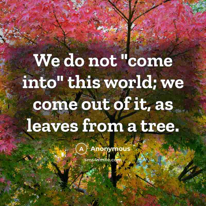“We do not "come into" this world; we come out of it, as leaves from a tree.” quote by Anonymous