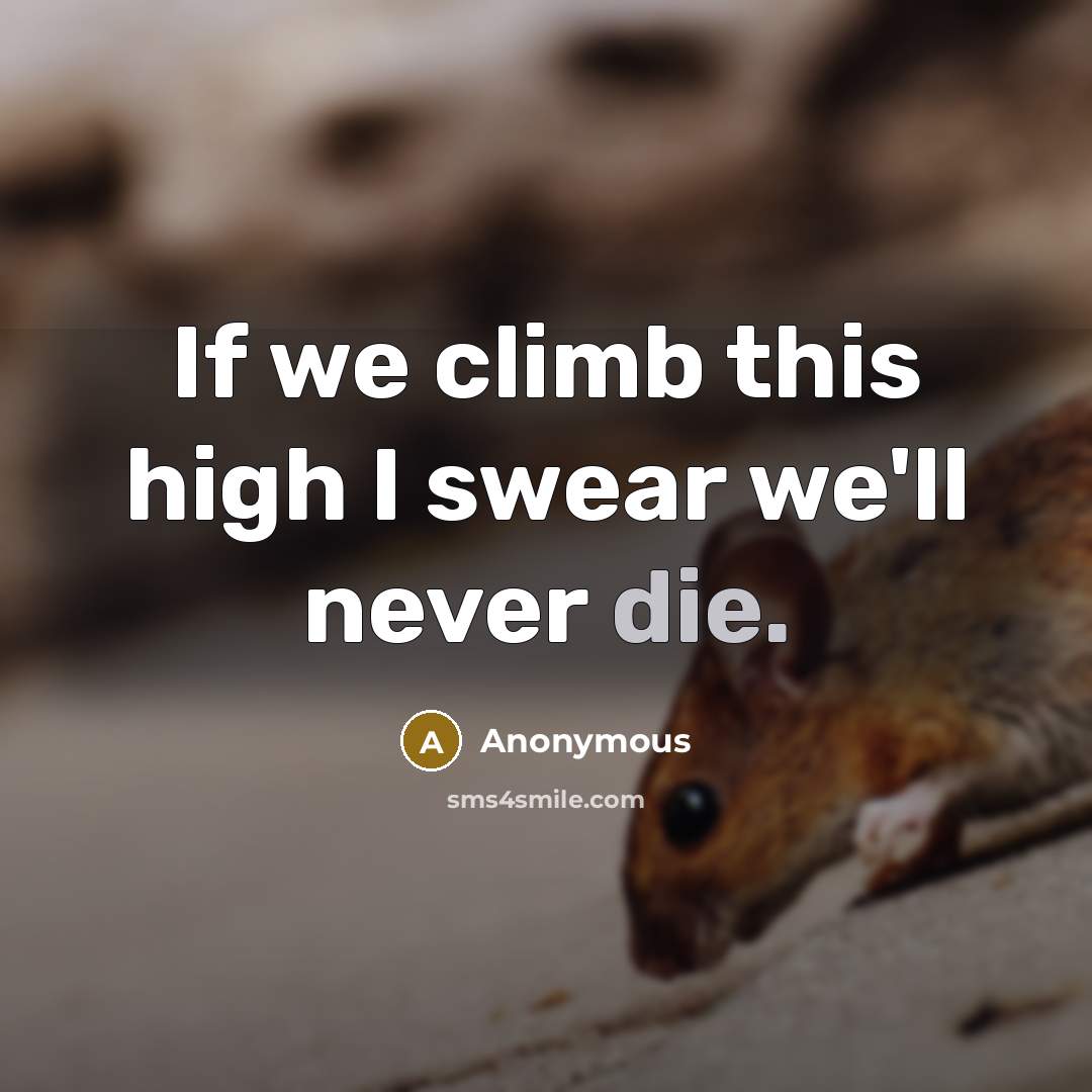 “If we climb this high I swear we'll never die.…” quote by Anonymous