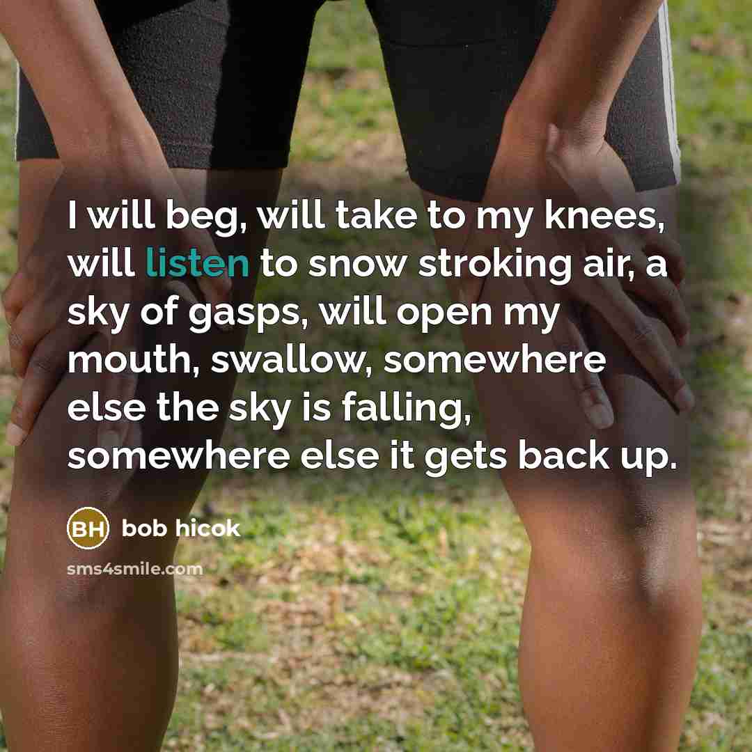 “I will beg, will take to my knees, will listen…” quote by Bob Hicok
