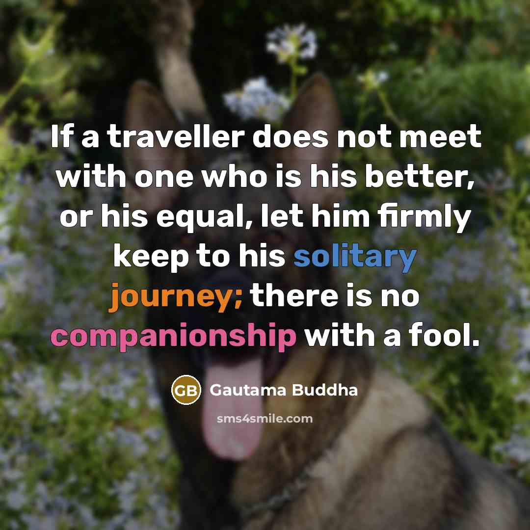 “If a traveller does not meet with one who is…” quote by Gautama Buddha