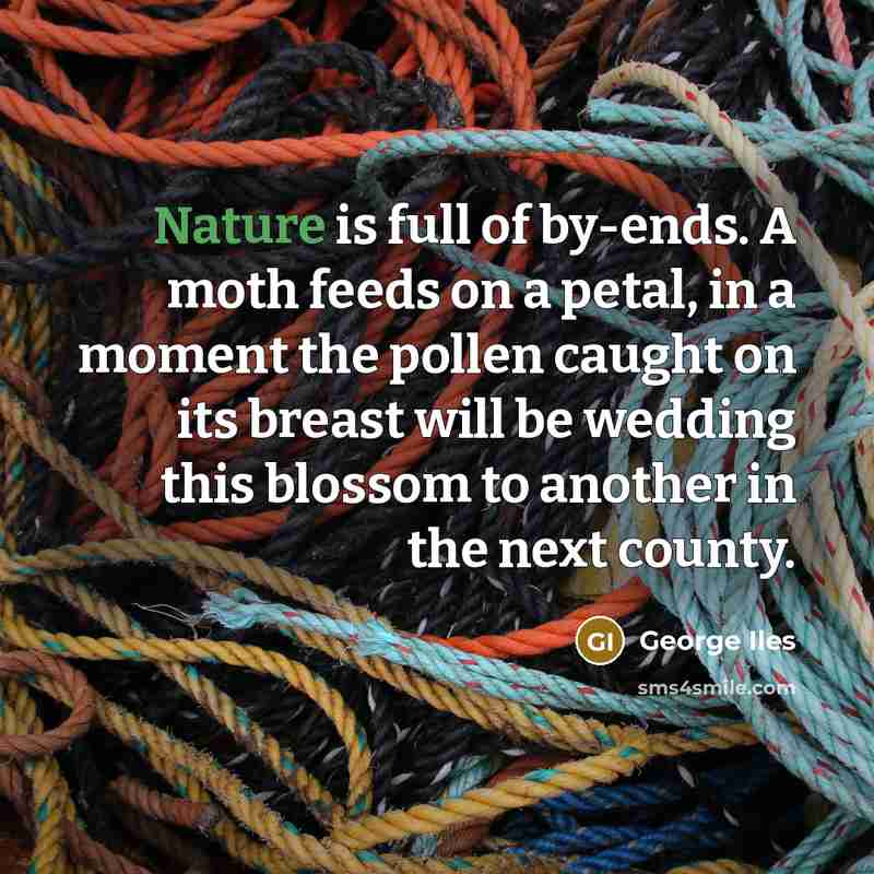 “Nature is full of by-ends. A moth feeds on a…” quote by George Iles